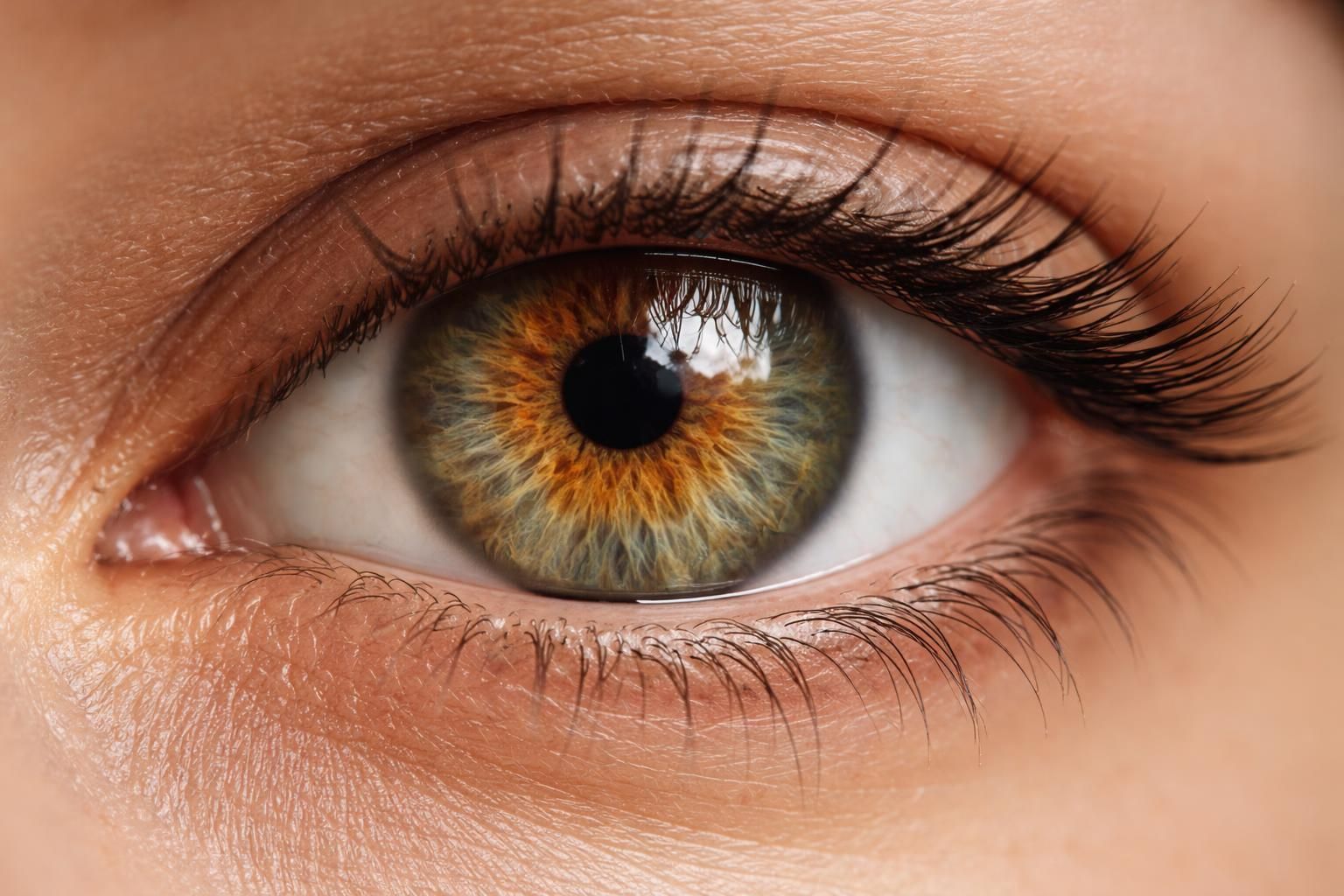 découvrez la définition de l'œil hazel et ses traits distinctifs uniques, entre nuances de vert, marron et or qui captivent le regard.
